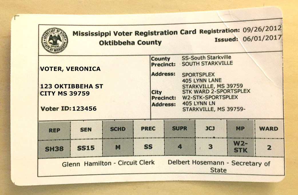 Voting & Elections Oktibbeha County Democrats